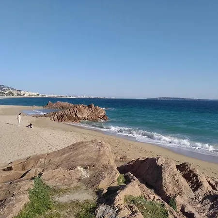 Apartment Sainte Rosalie Cannes